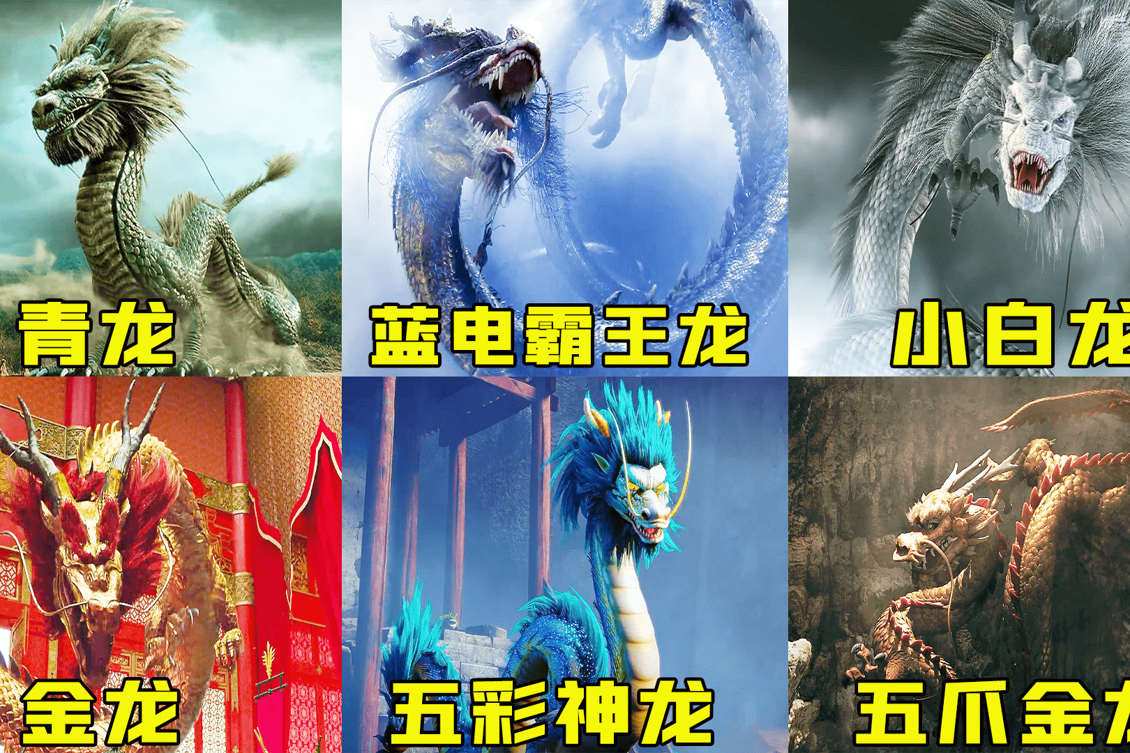 六条东方神龙蓝电霸王龙非常拉风让你选一条当坐骑你敢要吗