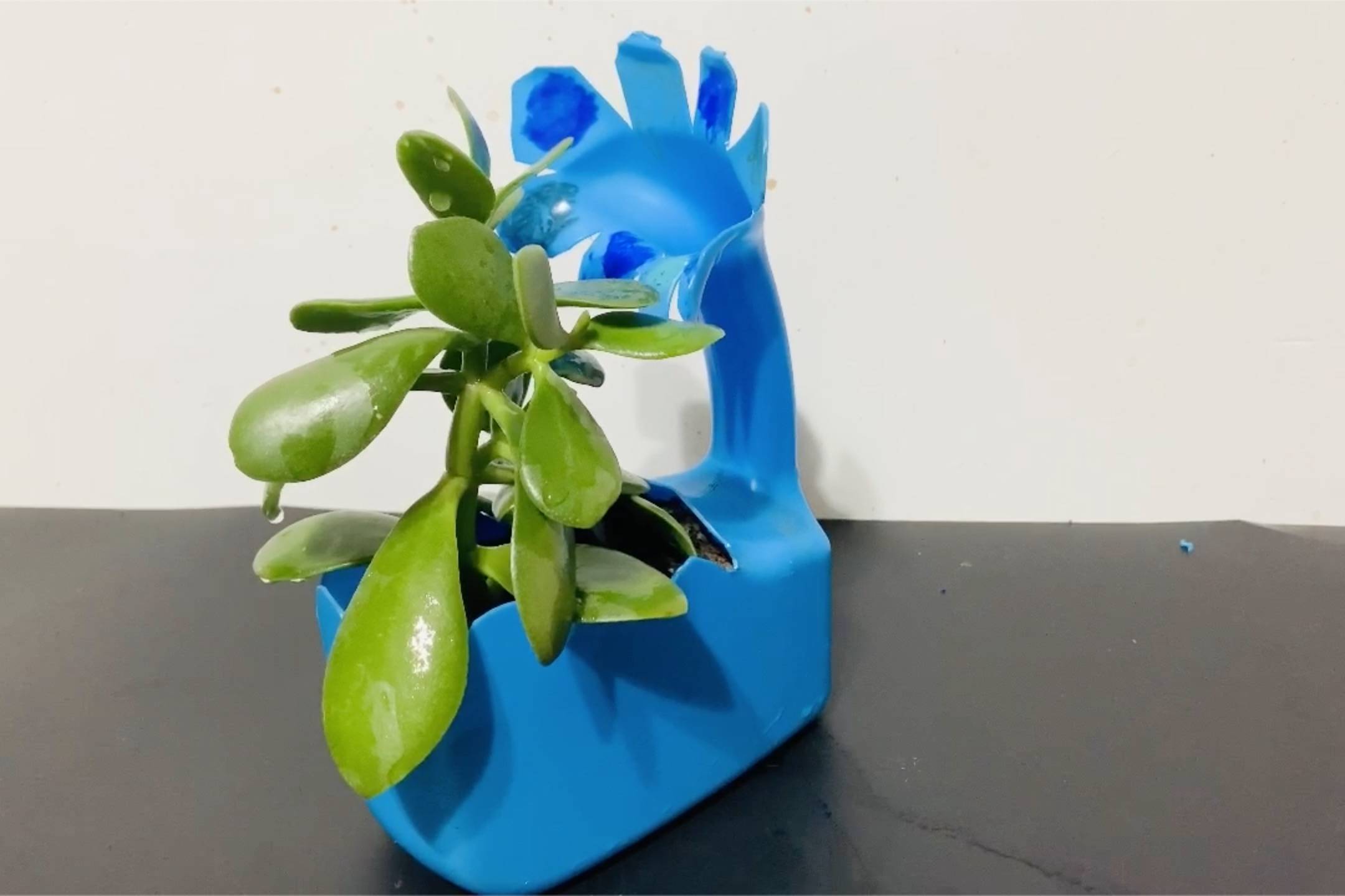 家里花盆不用花钱买一个洗衣液瓶就能做方便又美观