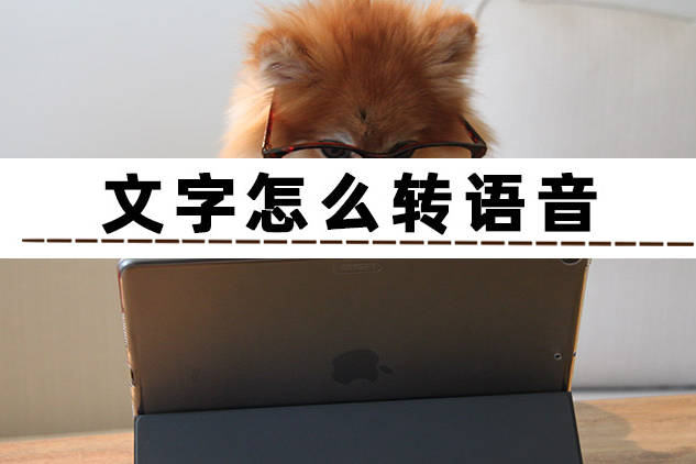 小白想了解文字怎么转语音？这里有3个小方法分享给你_操作_多功能的_步骤