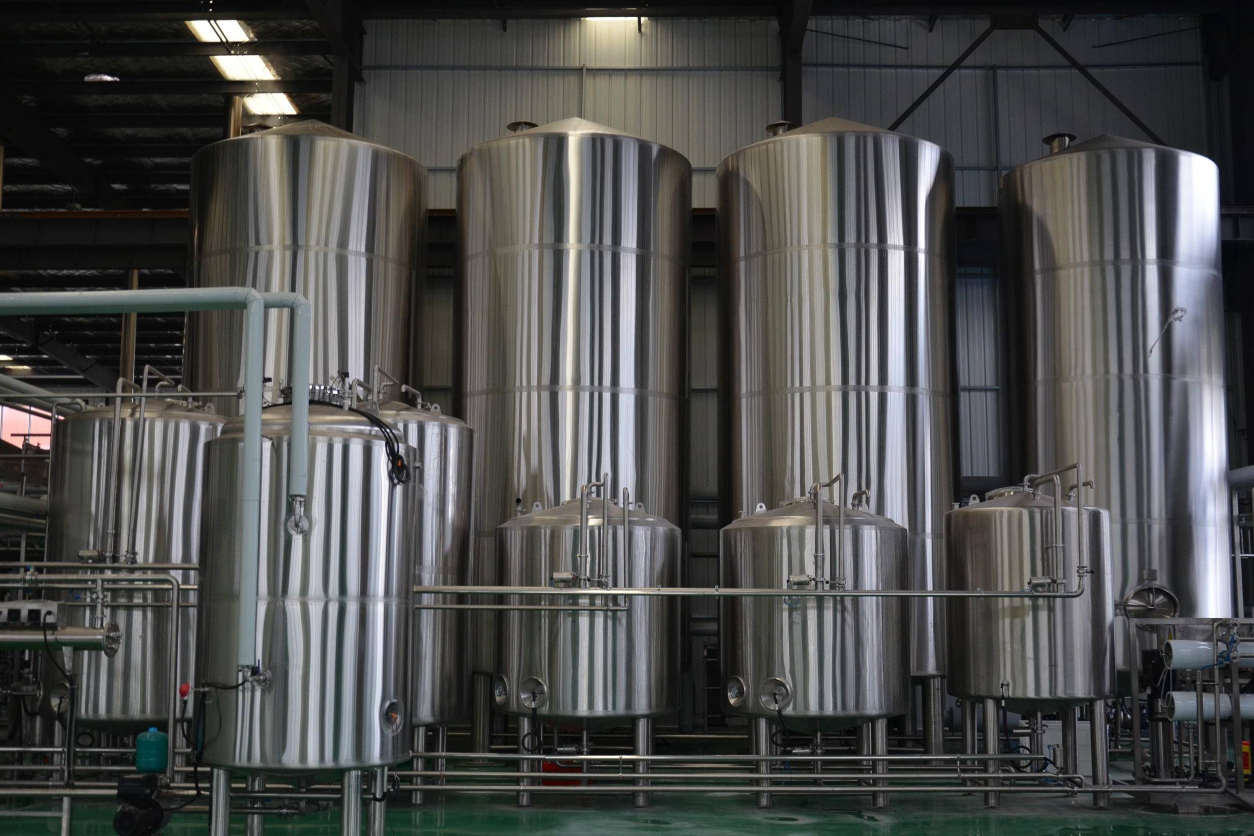 山东精鹰建设小型精酿啤酒厂陕西西安马来熊精酿