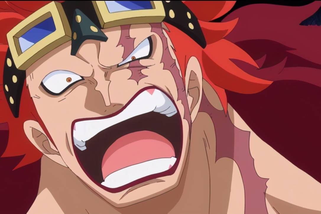 海贼王 10位眼上有伤痕的角色 索隆雷利对称 藤虎不想看见罪恶 左眼