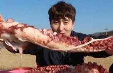 大胃王吃60斤“巨型”章鱼，镜头转换后穿帮，网友：吃不起别装！