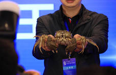 全国河蟹“奥斯卡奖”揭晓：因为太热，蟹王蟹后比去年轻了些