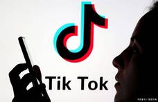 TikTok ADS成功案例解析：营销专家如何利用TikTok征服受众