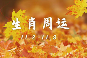 2020-10-30 15:34 属相鼠 属相鼠之人早前阵子事业宫因"灾煞"暴败"