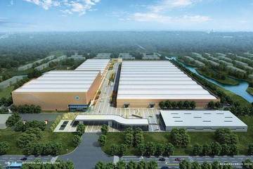 隆力奇集团董事长徐之伟被取保候审：屡陷负面风