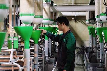 扬翔股份负债84亿：偿债能力弱前年分红27亿