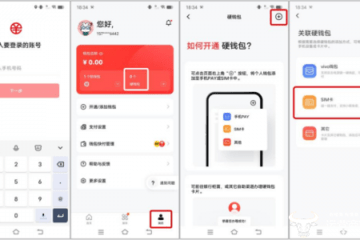 数字人民币App上线SIM卡硬钱包功能