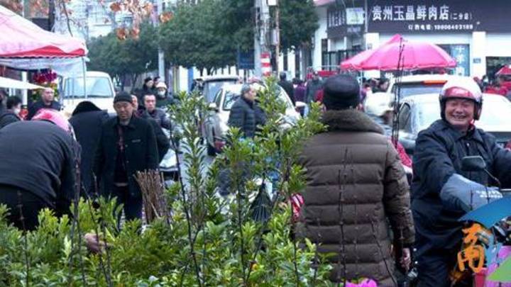 立春时节苗木销售旺，你会花钱买苗木吗？