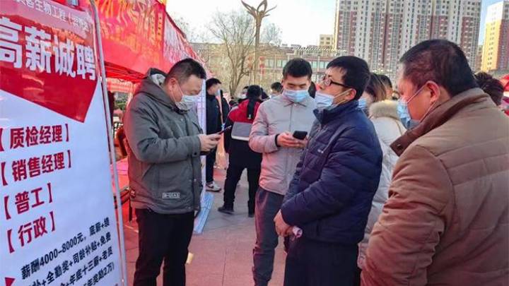 在家门口就能找到满意的工作，你认可该观点吗？