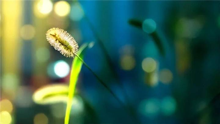 心情不好的时候，可以读读陈昂吗？