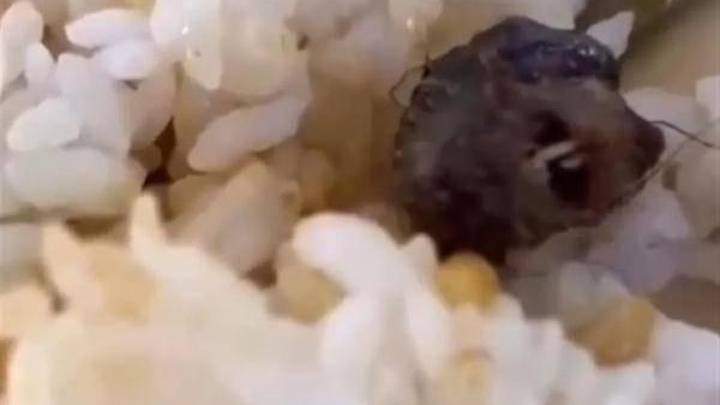 江西指鼠为鸭事件，是否应以具充足说服力证据消除大众疑虑？