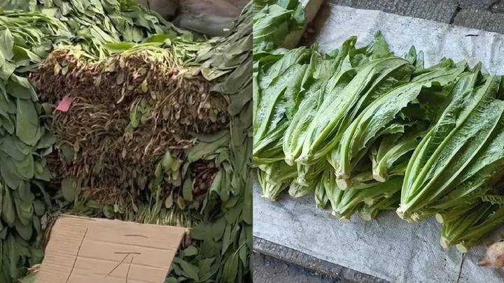 卖菜大爷赚21元被罚11万元，你觉得合理吗？