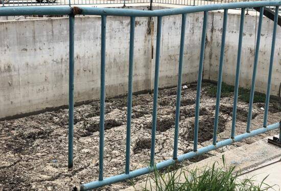 二沉池出现块状浮泥怎么办 浓度