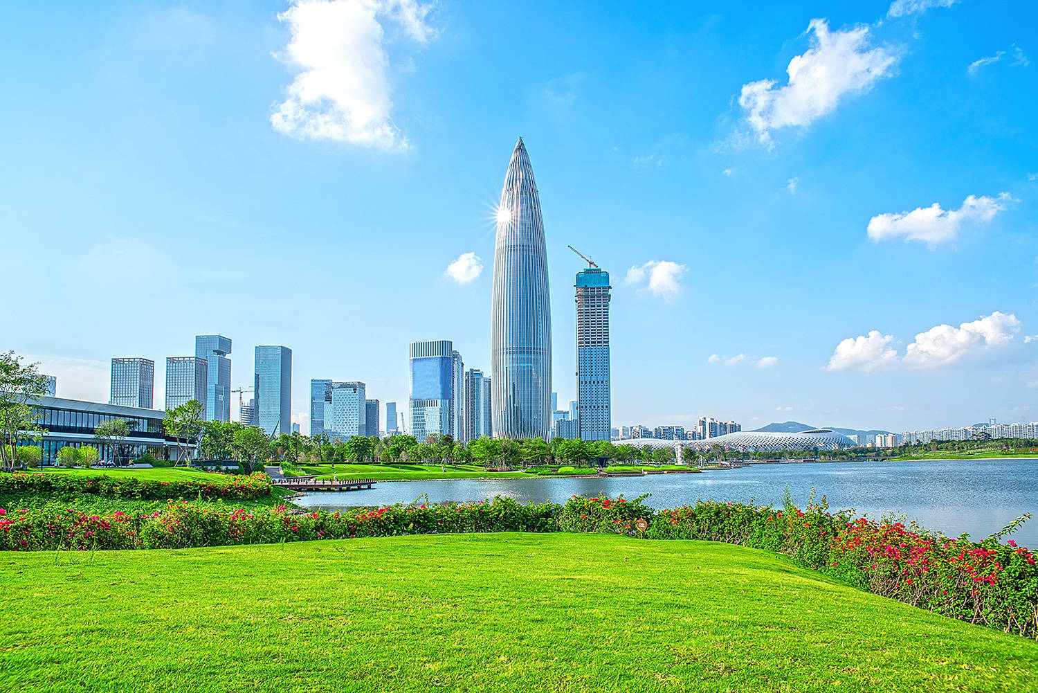 深圳市南山区荔香学校招聘小学数学教师