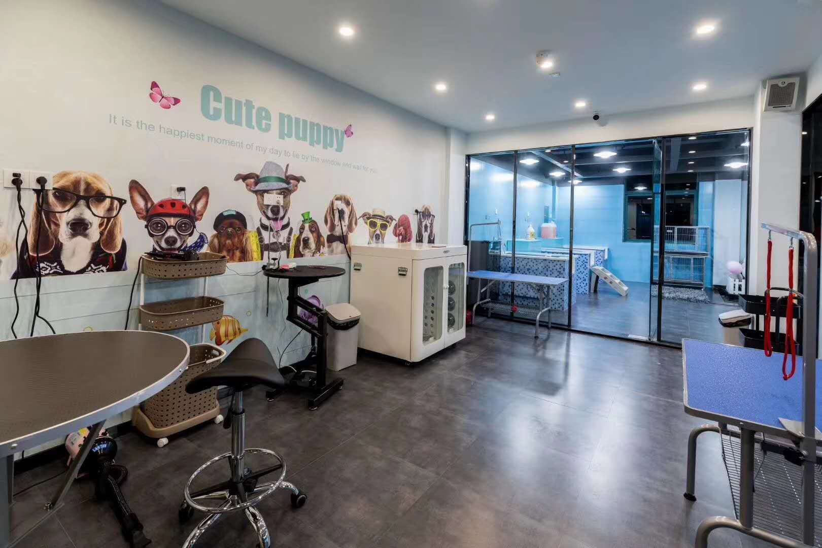 个体开一个宠物店需要准备什么？