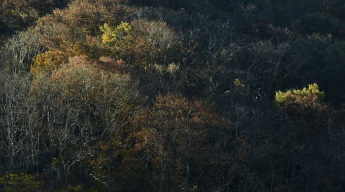 “垃圾食品”方便面又香了，家电产品还有市场“走香”机会不？-家电圈官网