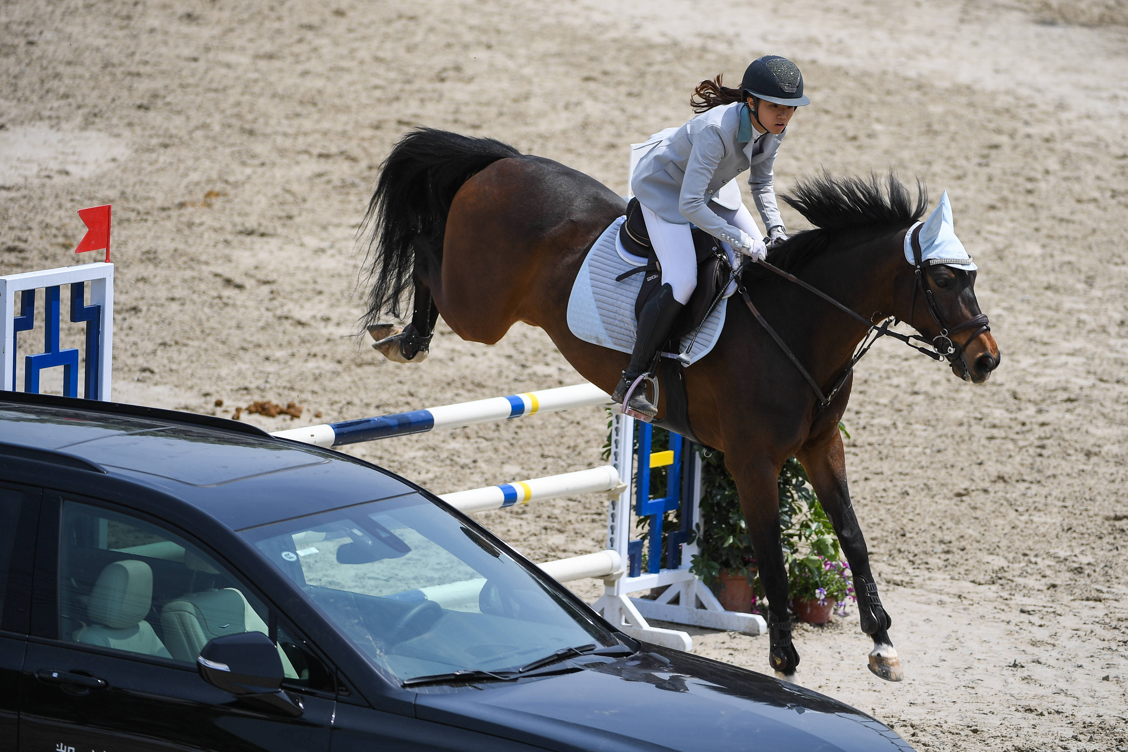 组图:李依桦包揽长三角马术联赛1.10米冠亚军