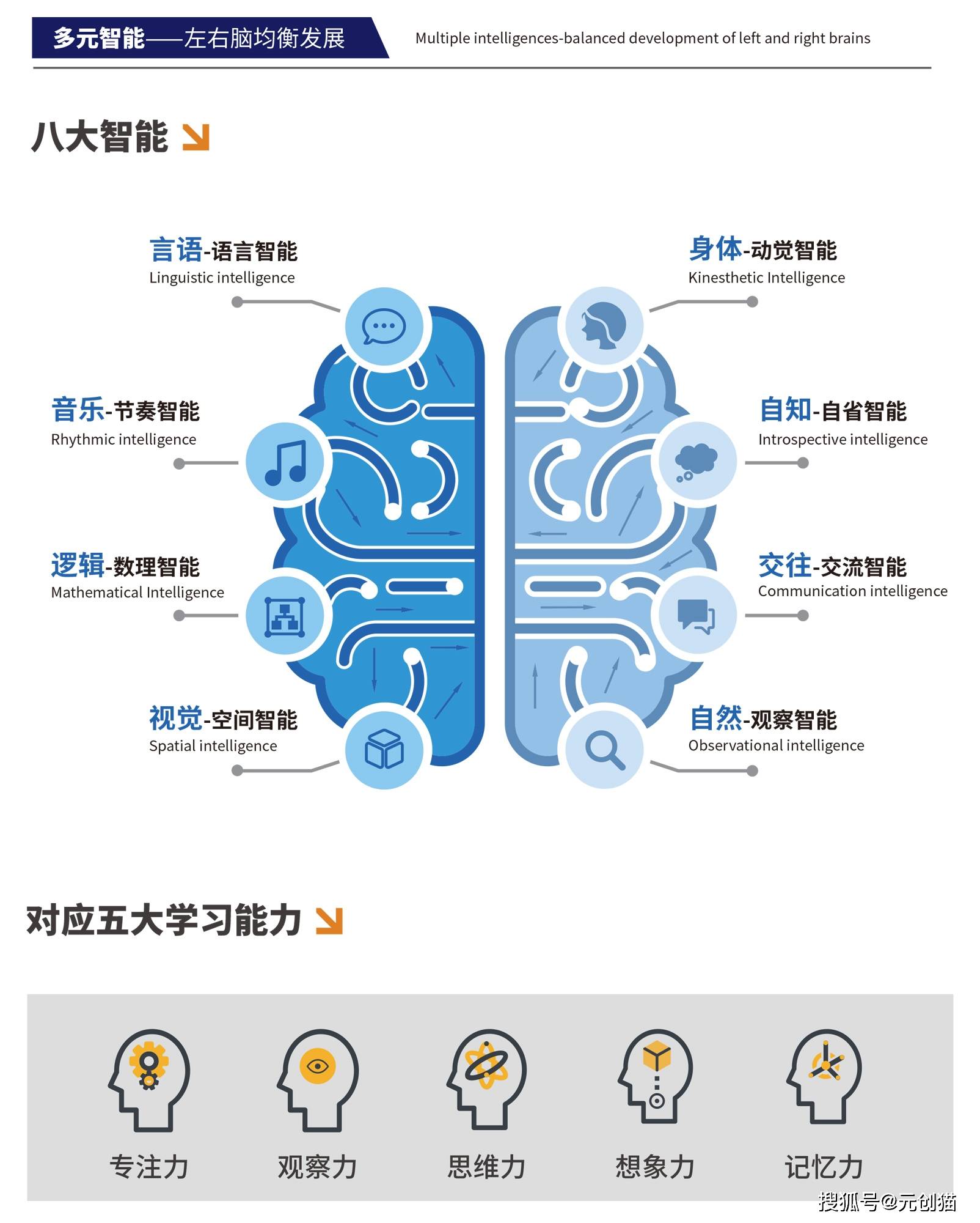 霍华德·加德纳认为智能是解决问题或制造产品的能力