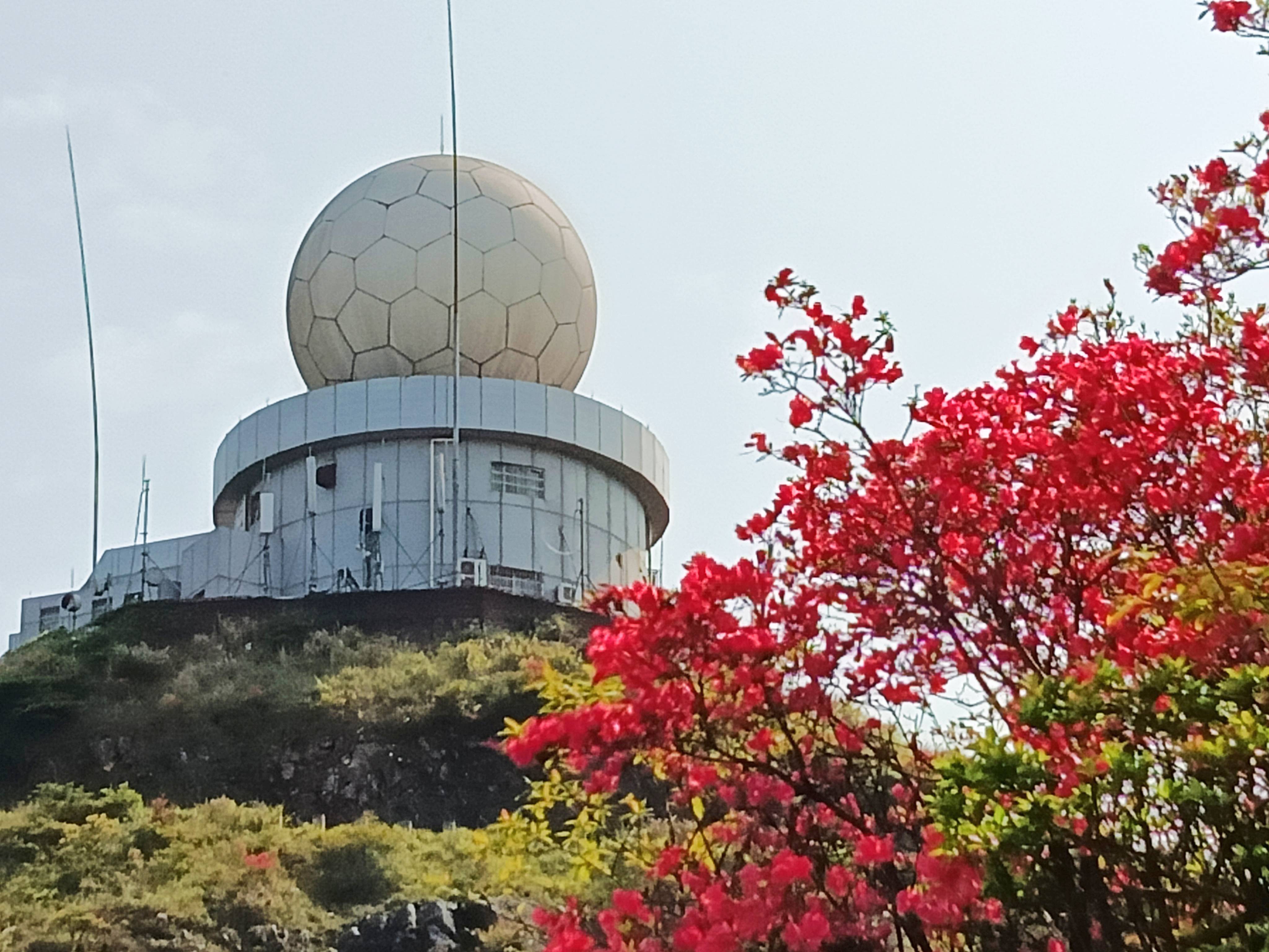 漳平红尖山杜鹃花美景漳平红尖山杜鹃花美景2021年4月18日(星期日)