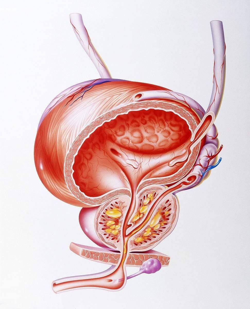 前列腺炎患者终于好了小腹坠痛好了方法值得借鉴