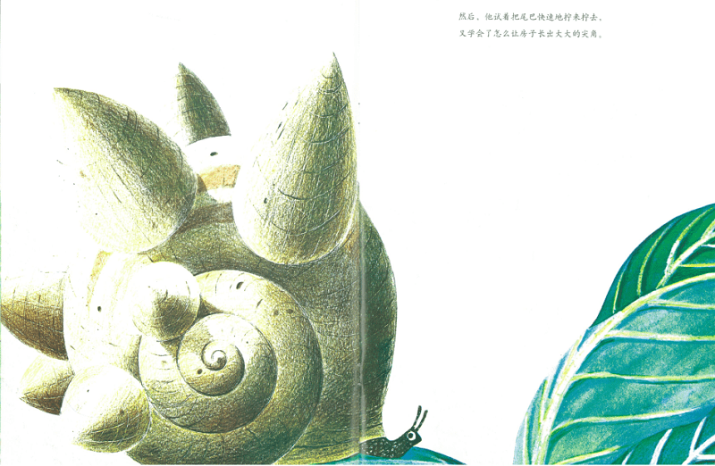 蜗牛的故事睡前 0e7211ba892840ba9abff3dcddecf6f4.png