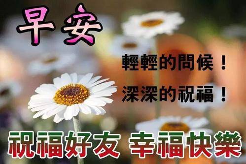 3d213f82bf264bfda5065a46fbe92d52.jpeg