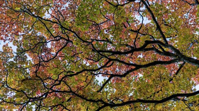 辉煌早就成为过去,家电业未来也不值得期待?-家电圈官网