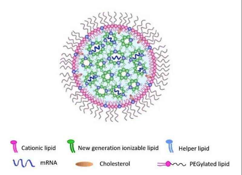 没有它就没有mrna新冠疫苗脂质纳米颗粒技术迎来复兴