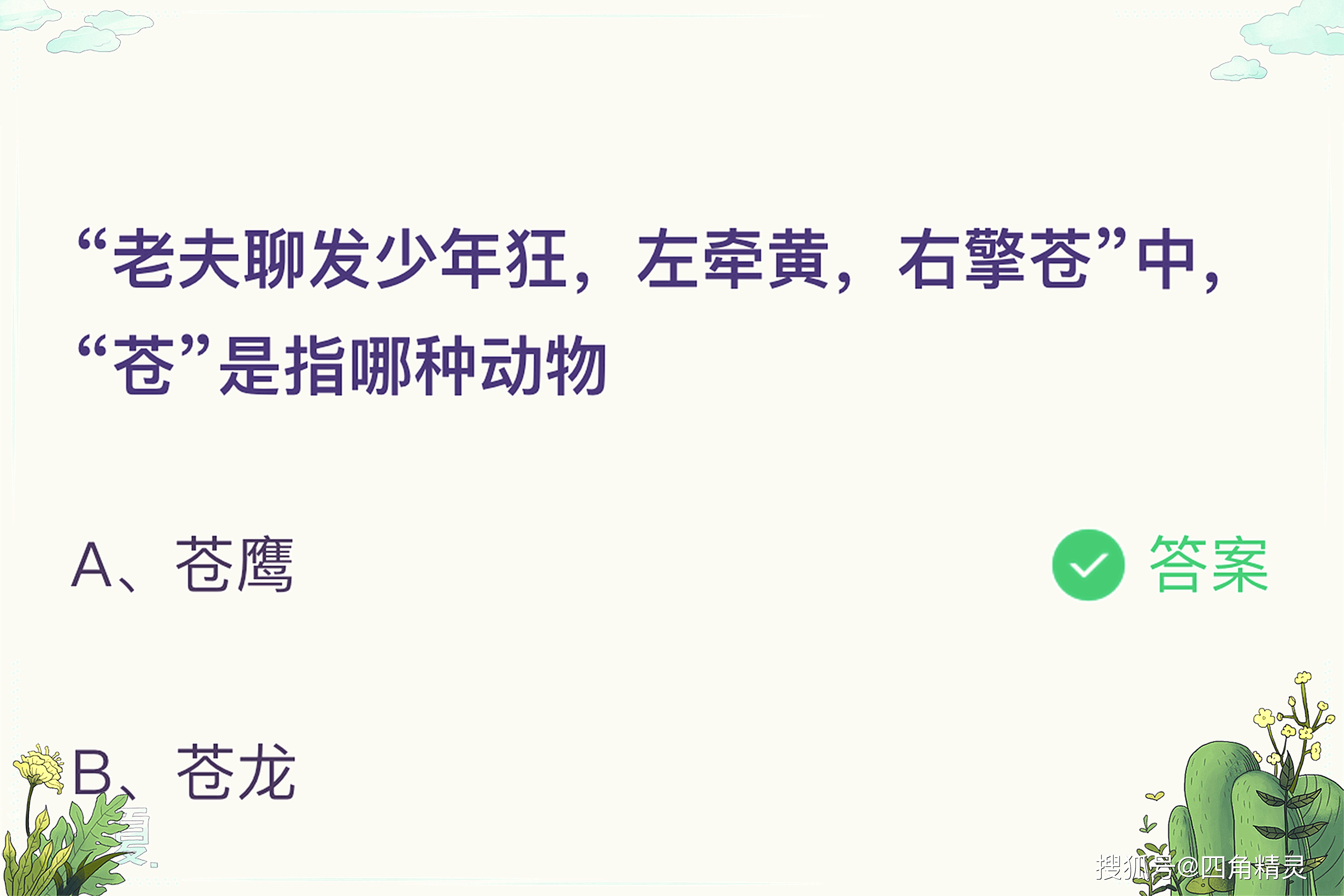 原来老夫聊发少年狂左牵黄右擎苍中苍是指苍鹰这种动物,小伙伴们可要