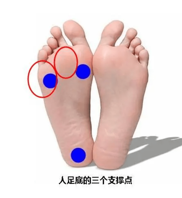 左脚大拇指的经络图图片