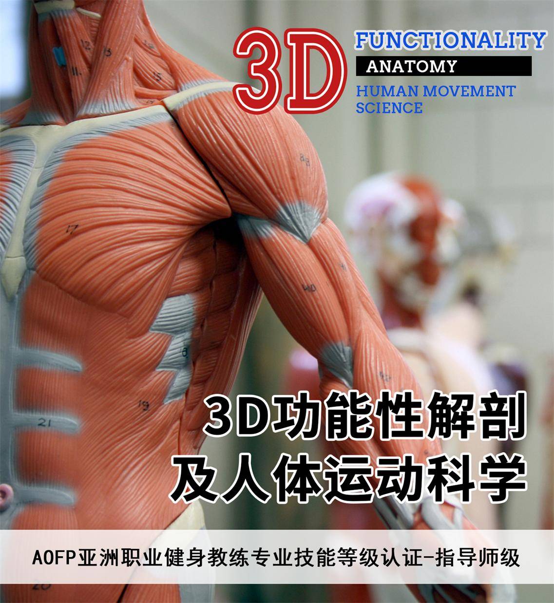 3d功能性解剖及人体运动科学