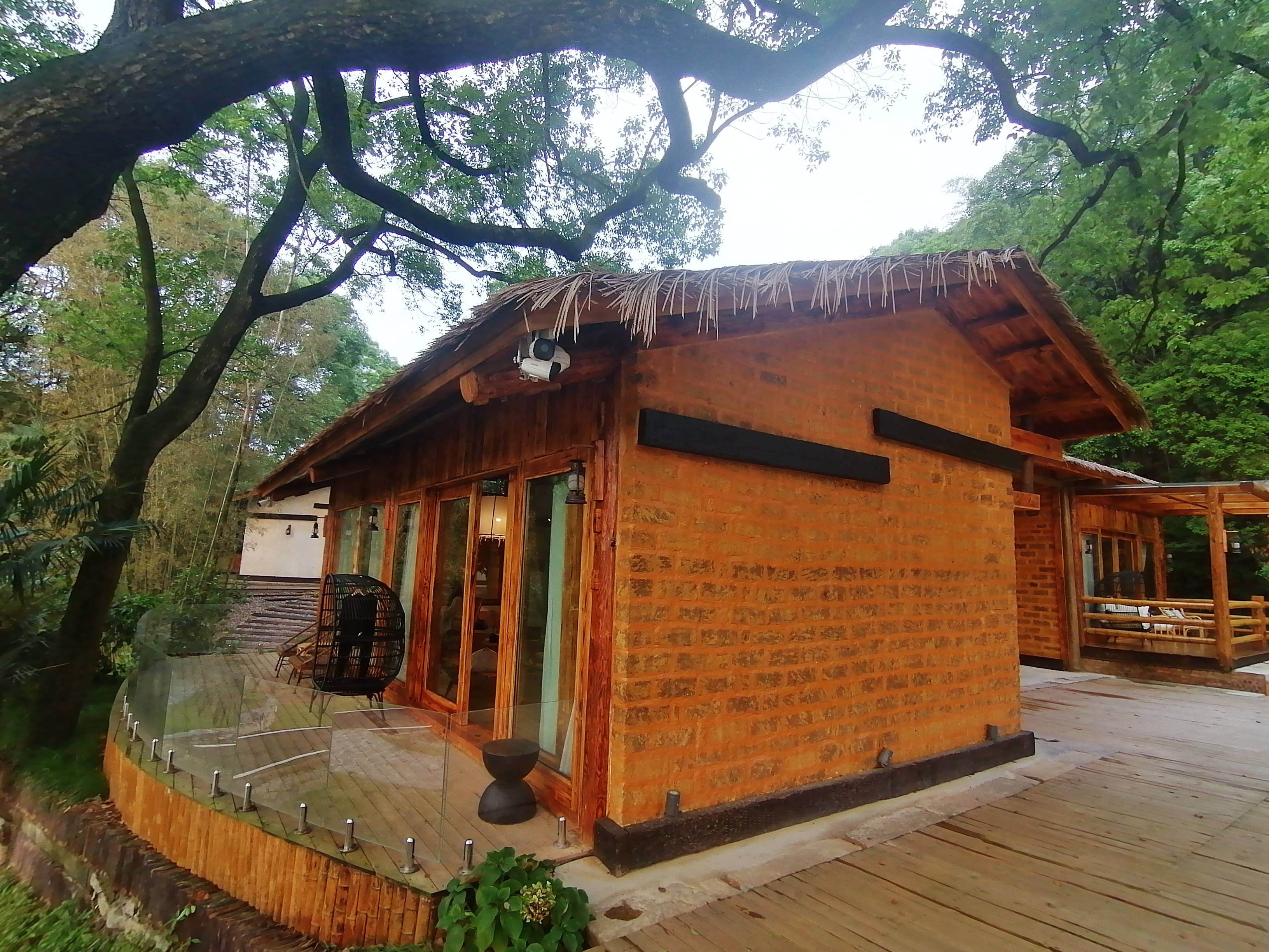 隐一方世界住两个鸟窝长沙五号山谷别有洞天