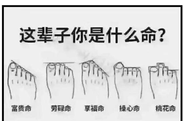 从脚型看你是什么命