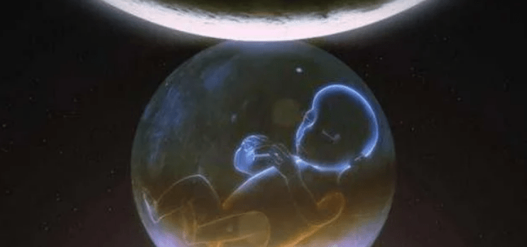 科学家算出人类的寿命 72fe0ae058944a3690d91eac5ada3f79.png