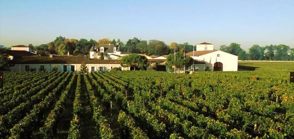 波尔多红葡萄酒科普来了