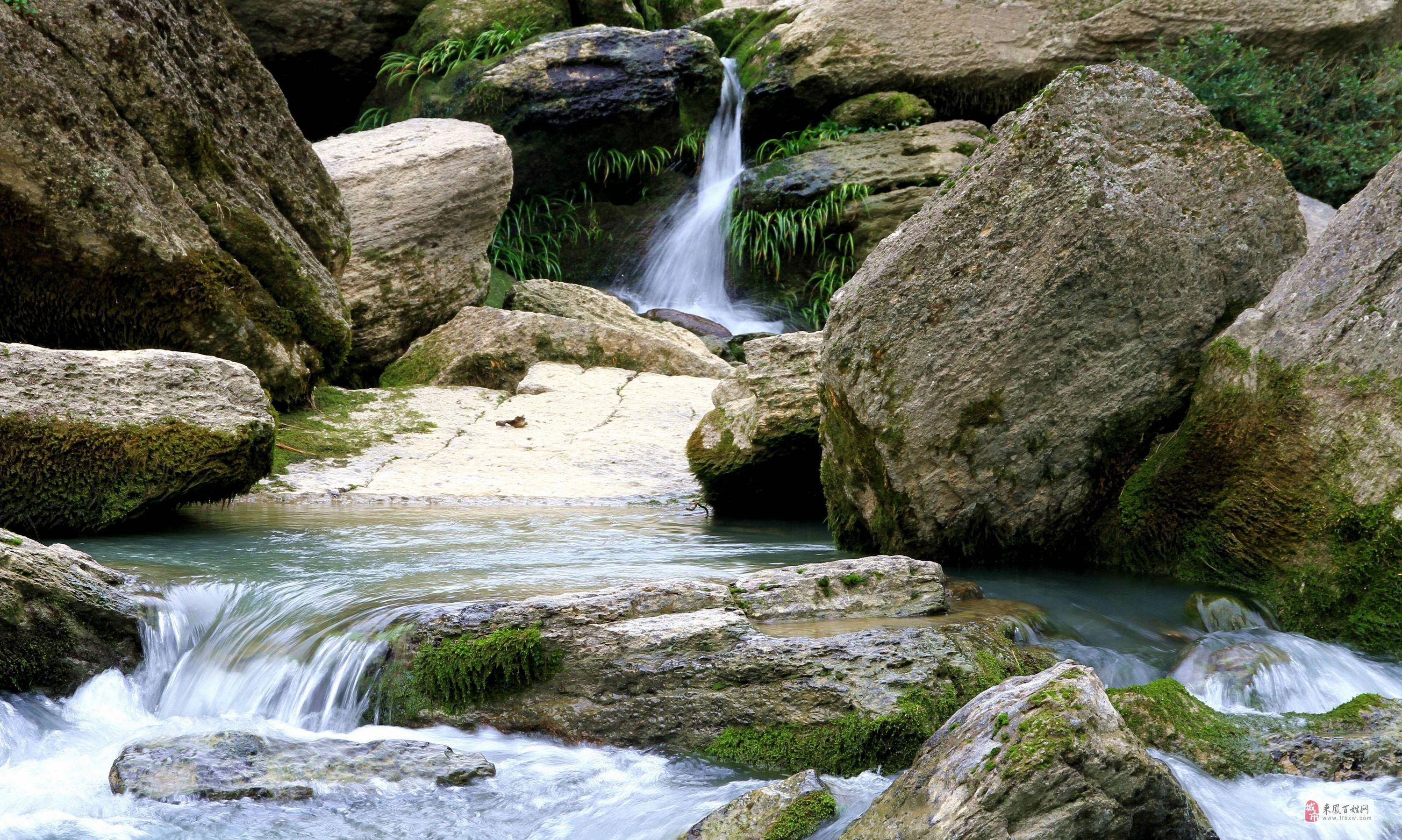 地表水可不是想喝就能喝的
