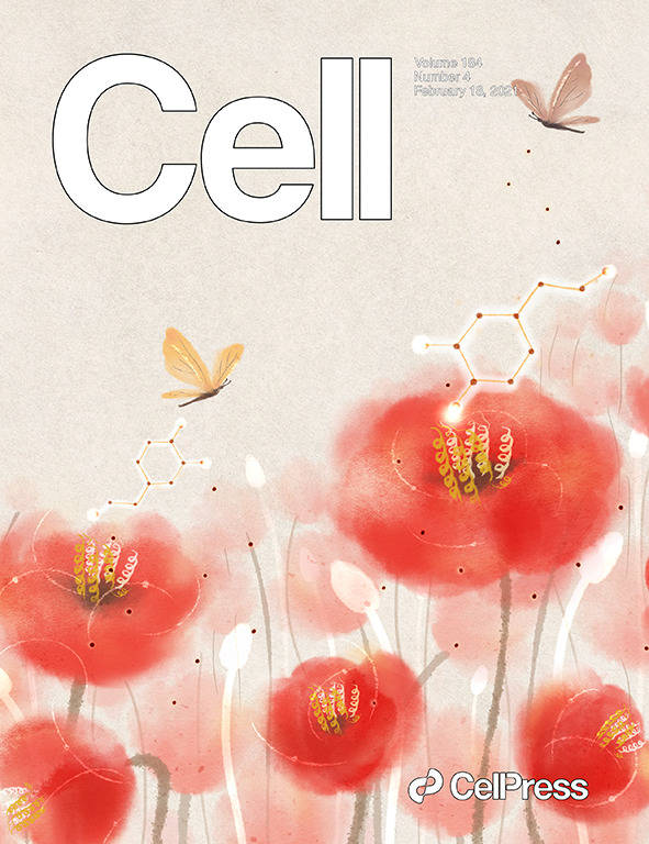 科学与艺术的结合cell100张期刊封面鉴赏2021年篇