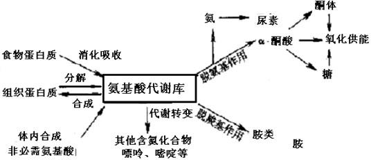 1d59582ce13e489aac34be354ca63e6d.png