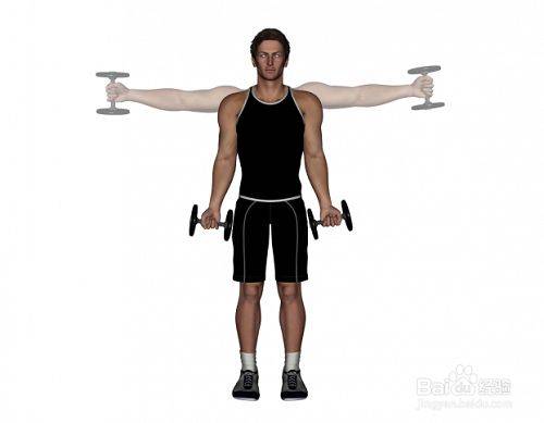 三角肌前束锻炼方法图片