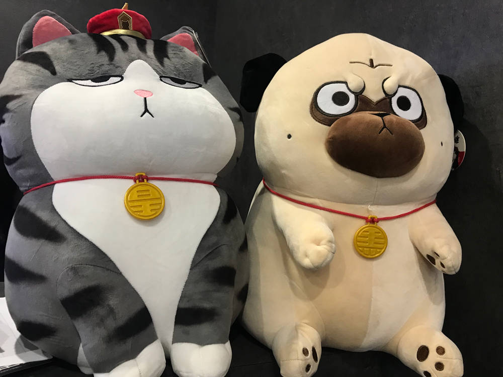 初夏时光带朋友和喵皇出游去