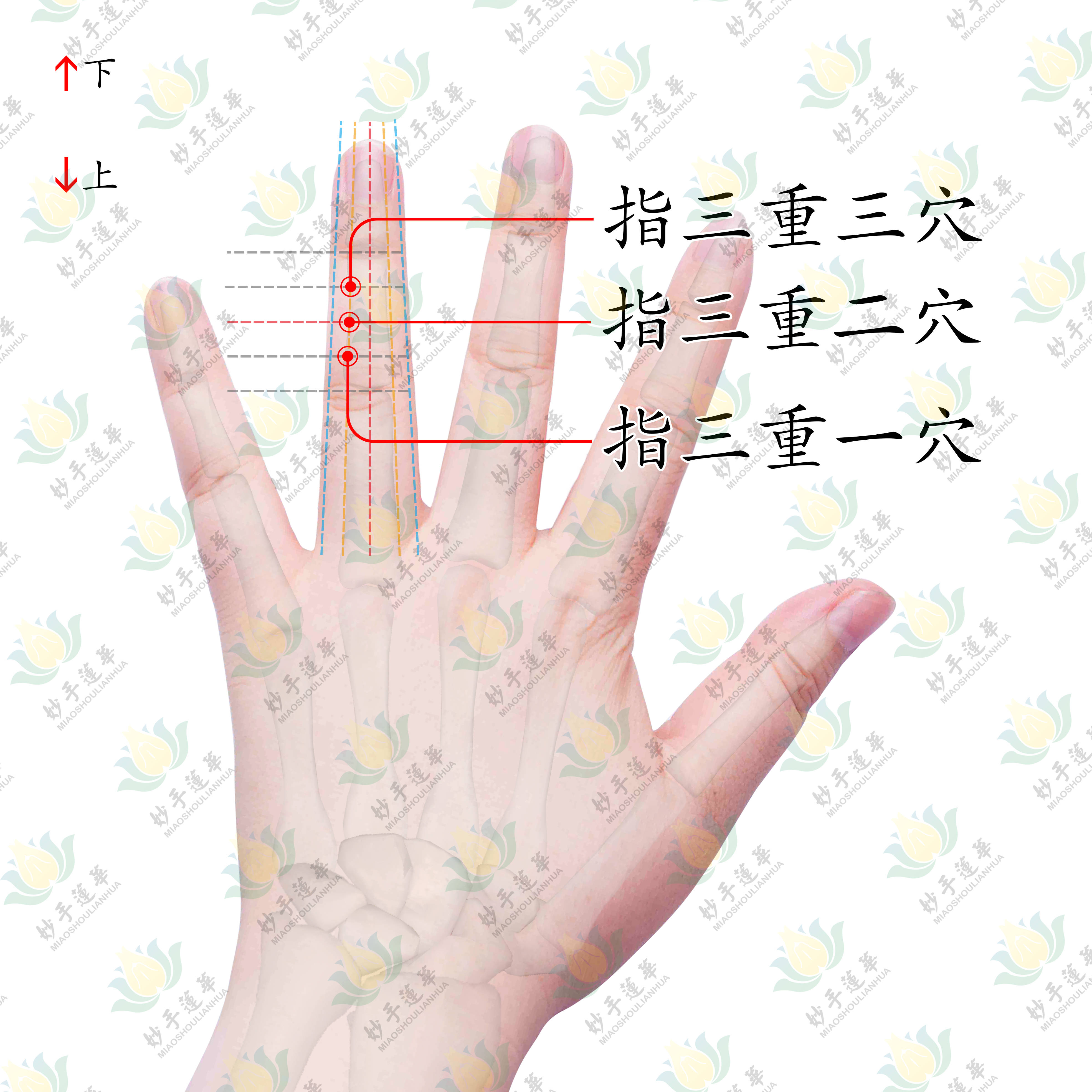 疏风消肿祛风指三重穴