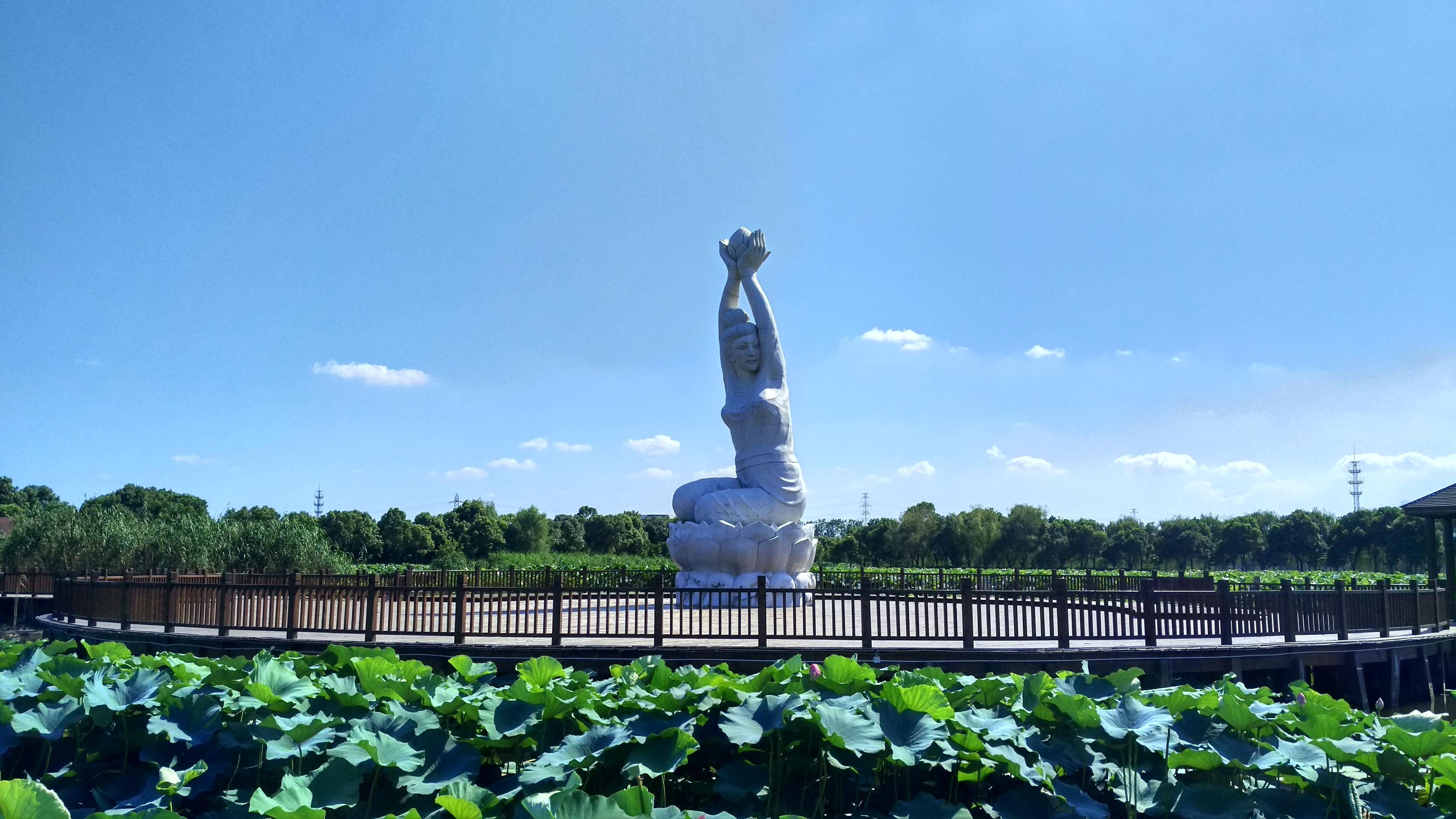 填料|荷塘月色濕地公園