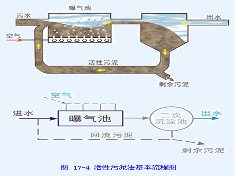 活性污泥法的基本原理