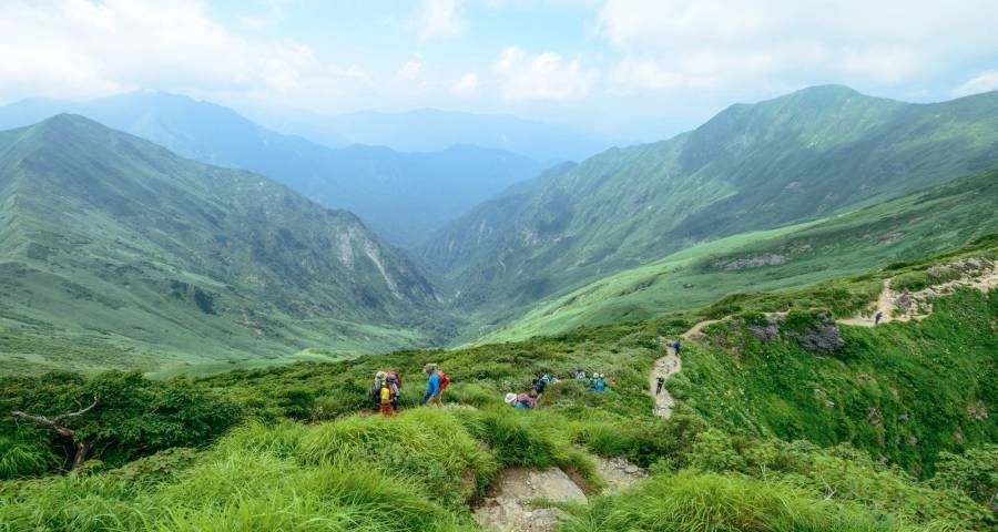 今年618大促家电业截然不同-家电圈官网