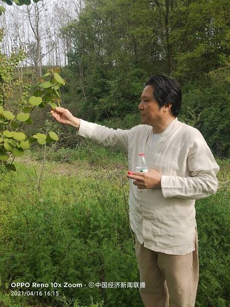 战略专家杨君峰:人到底是什么?怎么成为合格的人!