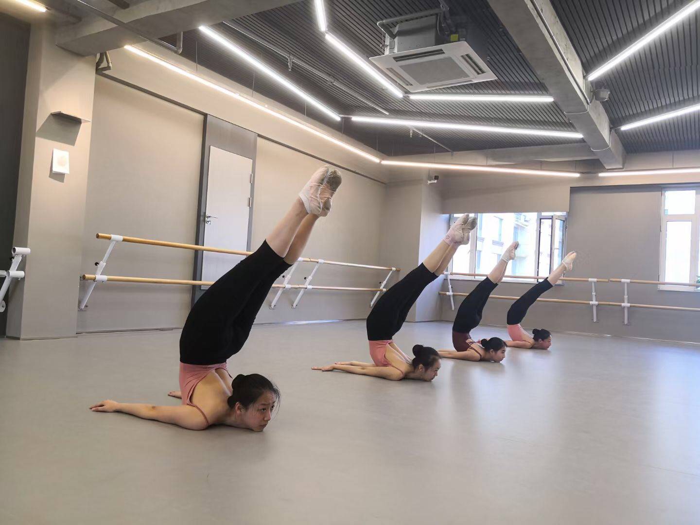 幼儿园地胶室内舞蹈房专用防滑pvc塑胶地板舞蹈教室地垫