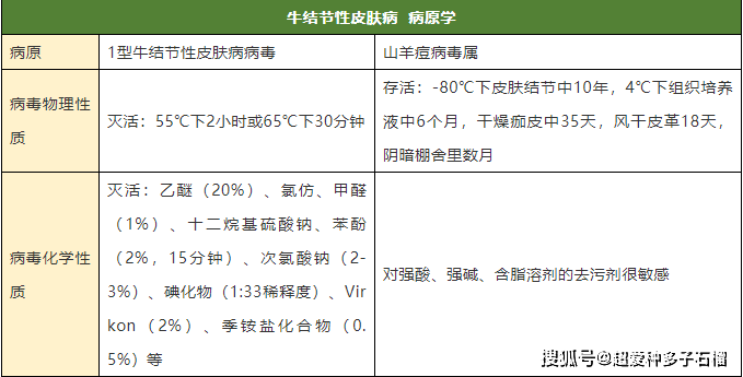 牛结节性皮肤病的病因及处置方法_疫情
