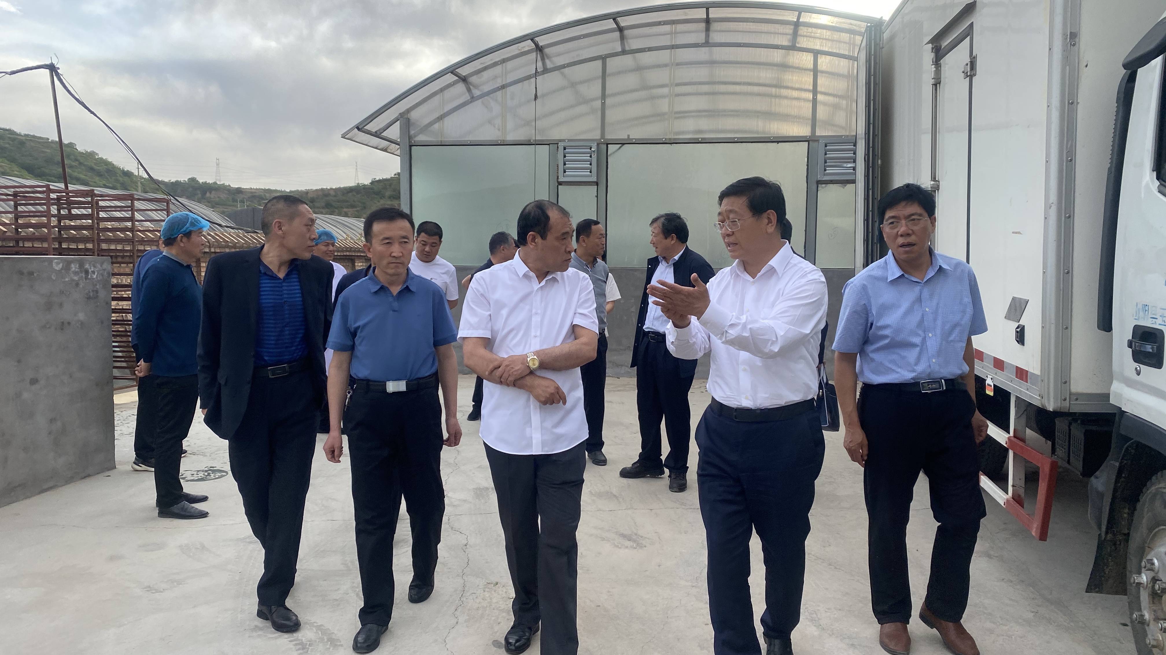 市人大常委会主任刘振国专题调研阳府井枣芽茶