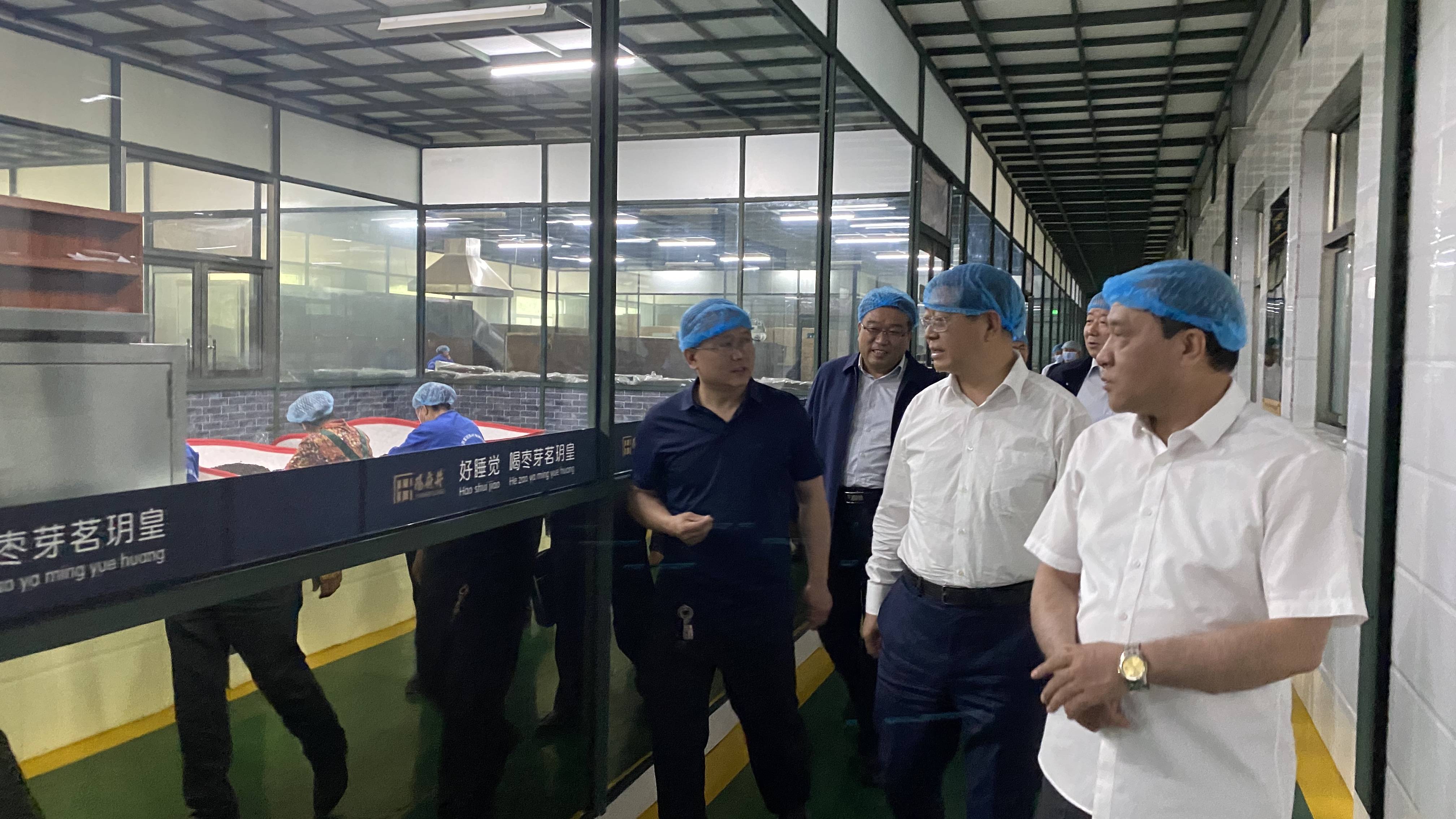 6月4日下午,吕梁市人大常委会党组书记,主任刘振国轻车简从来到阳府井